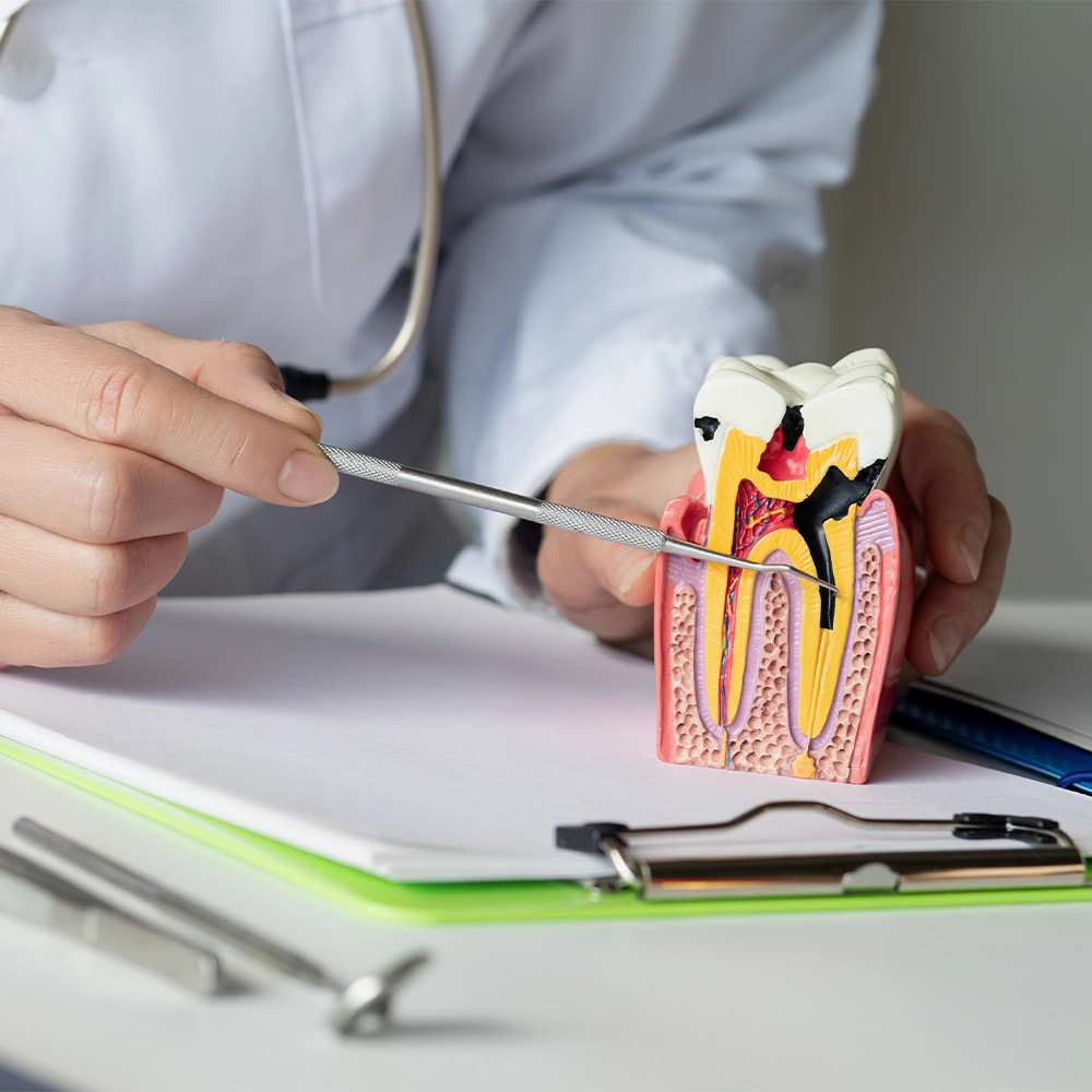 Kemik Kaybını Önleme